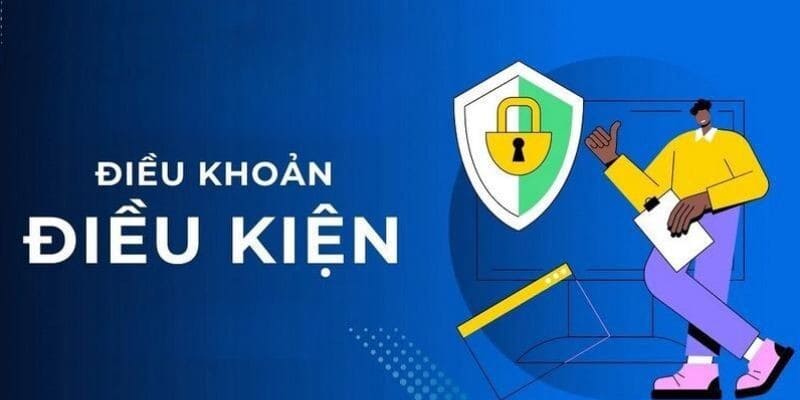 Tổng quan các thông tin cơ bản về chính sách điều kiện và điều khoản